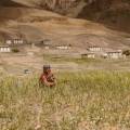 Why Doksa Is the Perfect Setting for a Transformational Spiti Valley Retreat