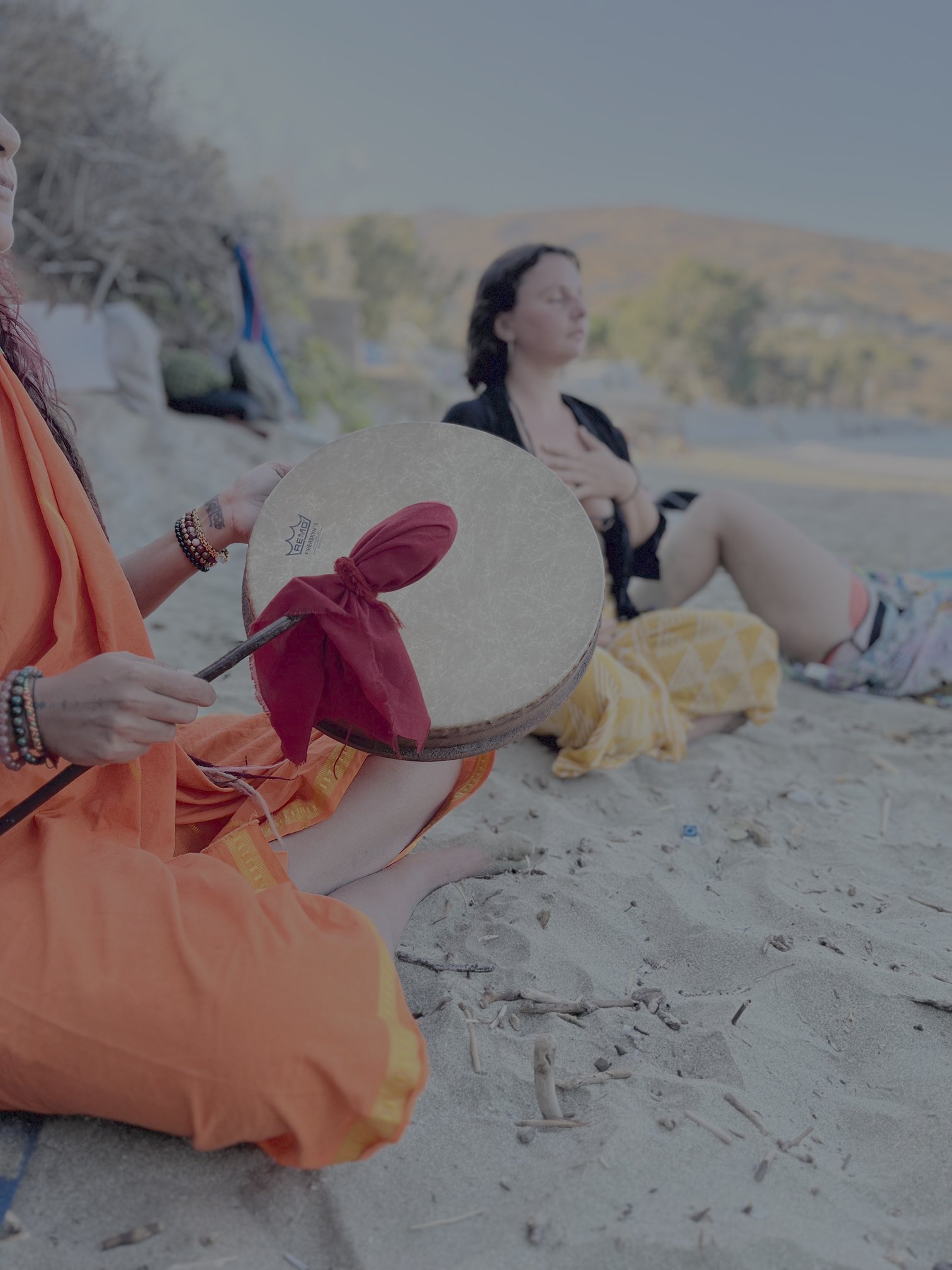 Wellness Experiences