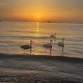 5 Reasons to Choose a SOMA, Greece Retreat for Your Next Wellness Journey | Anam Cara Retreat