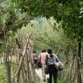 Private Retreats in India: Exploring Nature, Local Culture and Spiritual Traditions