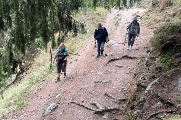 5a915c49-893b-4c76-9c7e-ca09a61caf85new