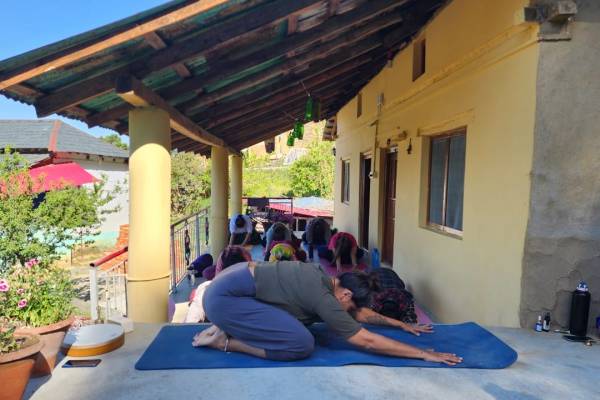 5e53da53-36f9-4313-bf41-63942805b552new