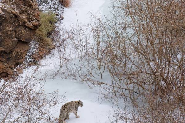 Doksa, Spiti Valley - Anam Cara Retreats - Yoga Adventure Wellness Retreats - 12