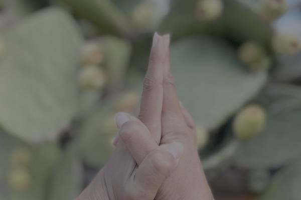 Soma, Greece - Anam Cara Retreats - Yoga Adventure Wellness Retreats - 11