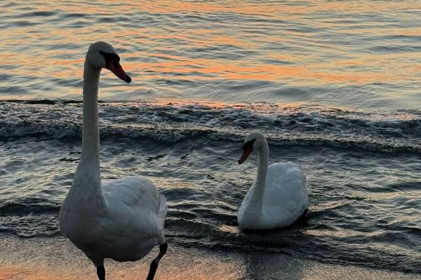 Soma, Greece - Anam Cara Retreats - Yoga Adventure Wellness Retreats - 3