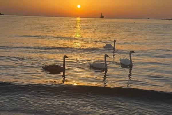 Soma, Greece - Anam Cara Retreats - Yoga Adventure Wellness Retreats - 5